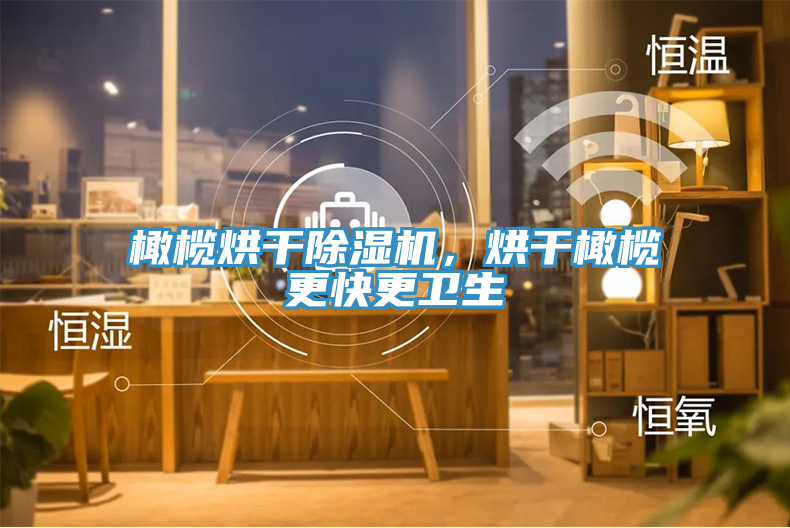 橄欖烘干除濕機，烘干橄欖更快更衛(wèi)生