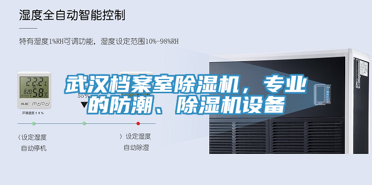 武漢檔案室除濕機(jī)，專業(yè)的防潮、除濕機(jī)設(shè)備