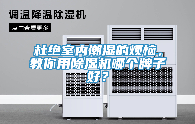 杜絕室內(nèi)潮濕的煩惱，教你用除濕機哪個牌子好？