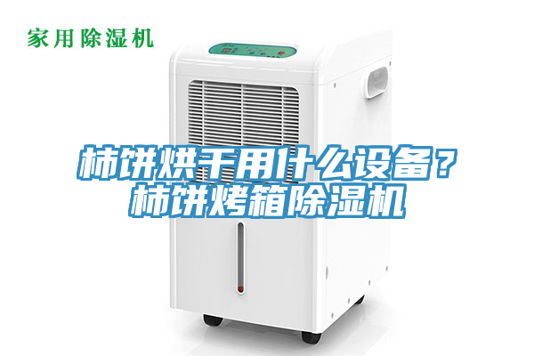 柿餅烘干用什么設備？柿餅烤箱除濕機