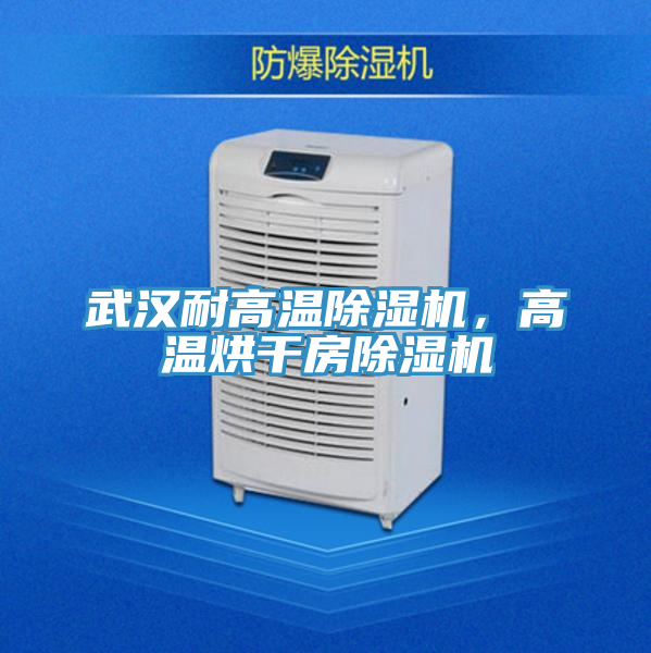 武漢耐高溫除濕機(jī)，高溫烘干房除濕機(jī)