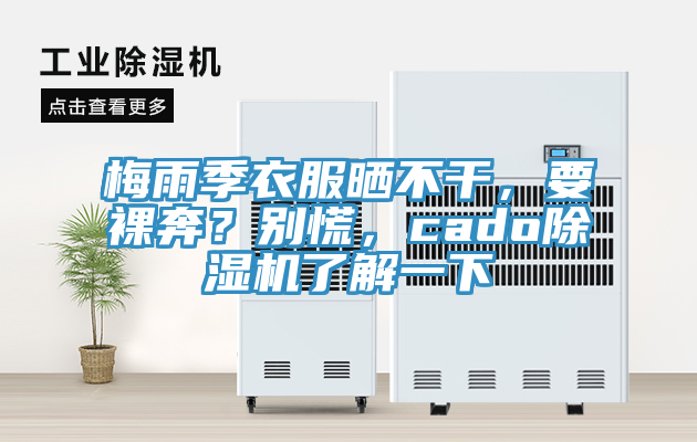梅雨季衣服曬不干，要裸奔？別慌，cado除濕機(jī)了解一下