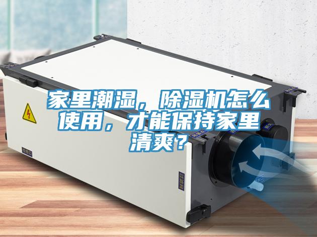 家里潮濕，除濕機怎么使用，才能保持家里清爽？