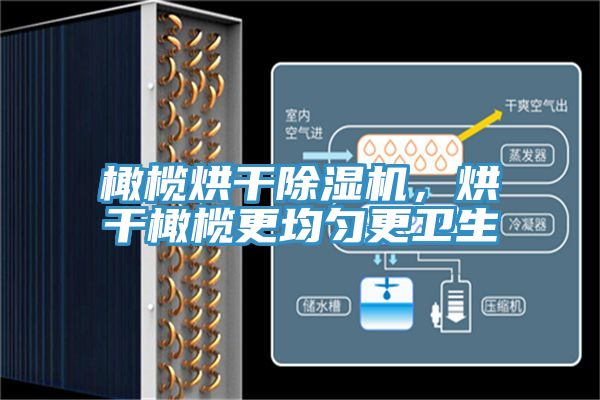 橄欖烘干除濕機，烘干橄欖更均勻更衛(wèi)生