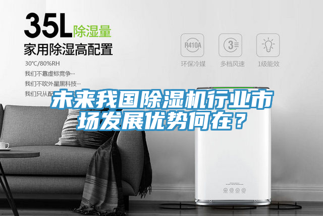 未來我國除濕機(jī)行業(yè)市場發(fā)展優(yōu)勢何在？