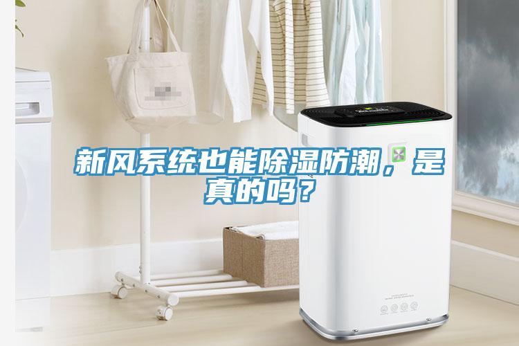 新風(fēng)系統(tǒng)也能除濕防潮，是真的嗎？