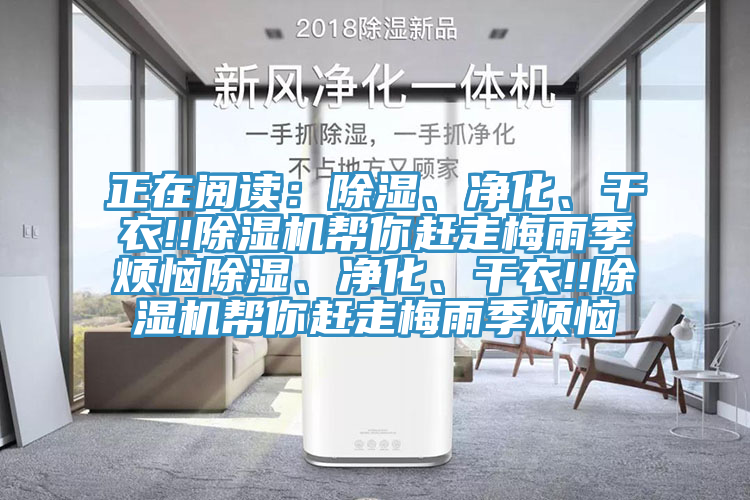 正在閱讀：除濕、凈化、干衣!!除濕機幫你趕走梅雨季煩惱除濕、凈化、干衣!!除濕機幫你趕走梅雨季煩惱