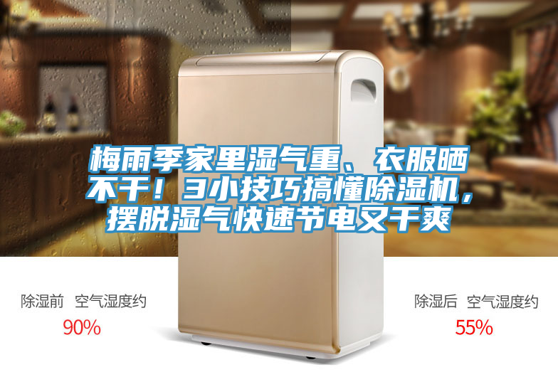 梅雨季家里濕氣重、衣服曬不干！3小技巧搞懂除濕機，擺脫濕氣快速節(jié)電又干爽