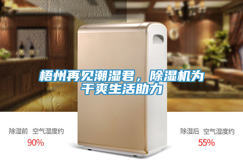 梧州再見潮濕君，除濕機(jī)為干爽生活助力