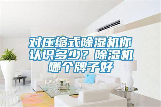 對(duì)壓縮式除濕機(jī)你認(rèn)識(shí)多少？除濕機(jī)哪個(gè)牌子好