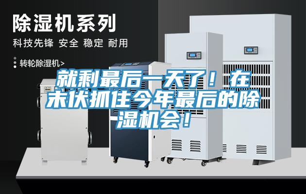 就剩最后一天了！在末伏抓住今年最后的除濕機(jī)會！
