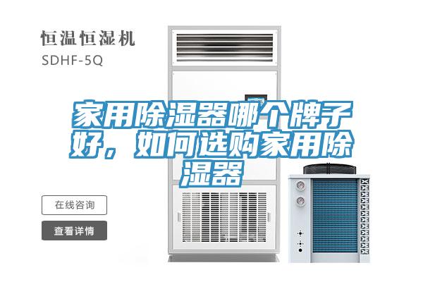 家用除濕器哪個牌子好，如何選購家用除濕器
