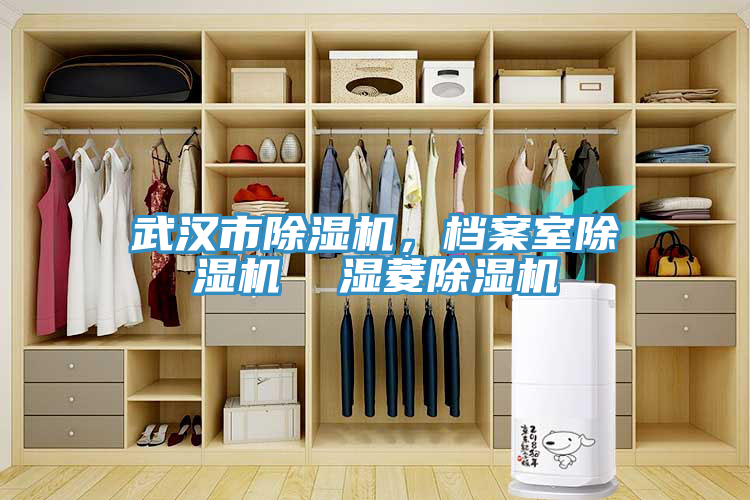 武漢市除濕機(jī)，檔案室除濕機(jī)  濕菱除濕機(jī)