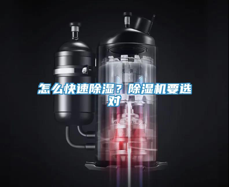 怎么快速除濕？除濕機要選對