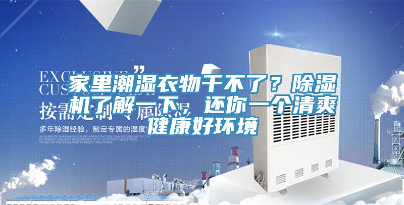 家里潮濕衣物干不了？除濕機了解一下，還你一個清爽健康好環(huán)境