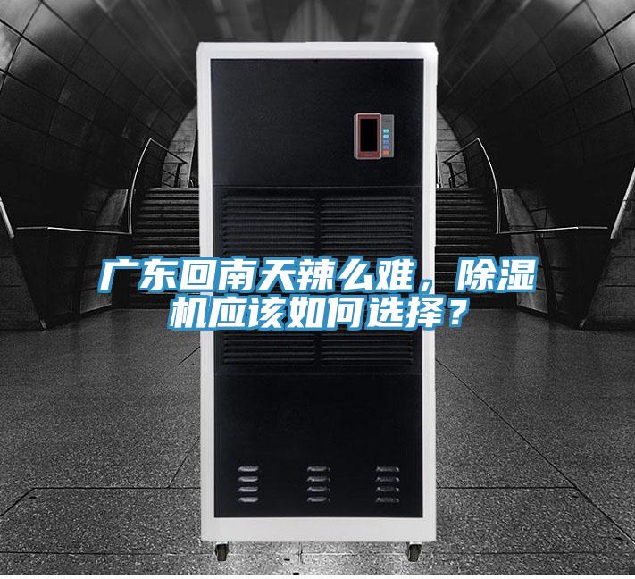 廣東回南天辣么難，除濕機應該如何選擇？