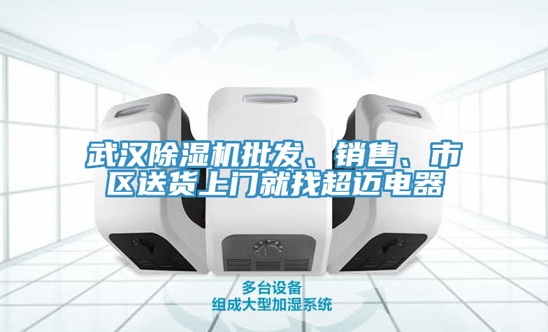 武漢除濕機(jī)批發(fā)、銷售、市區(qū)送貨上門就找超邁電器