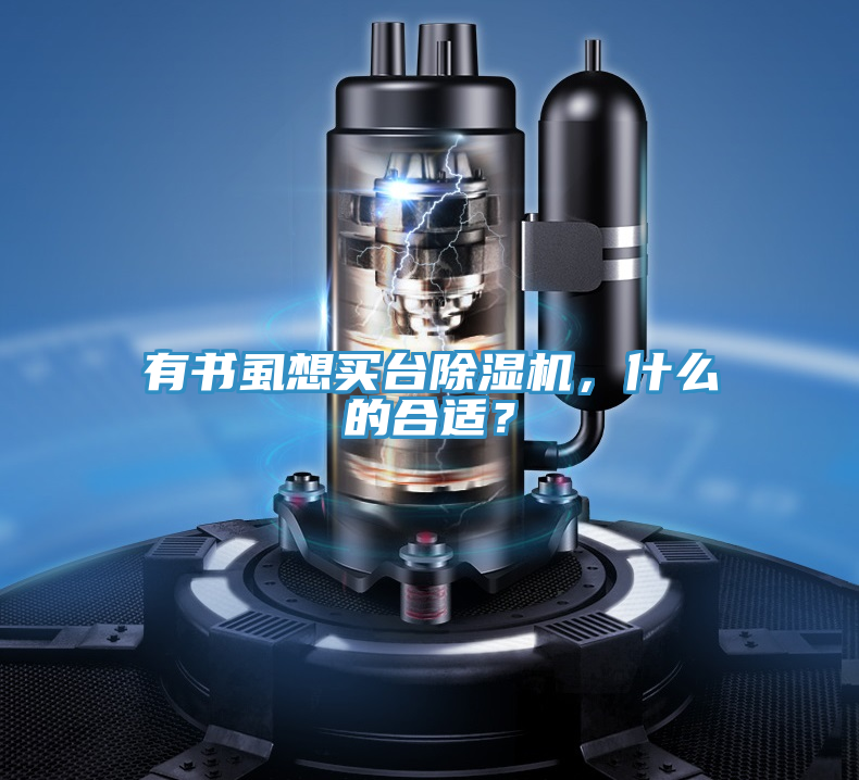 有書虱想買臺(tái)除濕機(jī)，什么的合適？