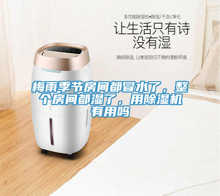 梅雨季節(jié)房間都冒水了，整個房間都濕了，用除濕機有用嗎