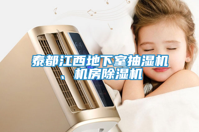 泰都江西地下室抽濕機、機房除濕機