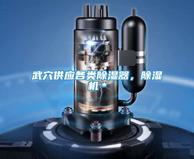 武穴供應(yīng)各類除濕器，除濕機(jī)＊