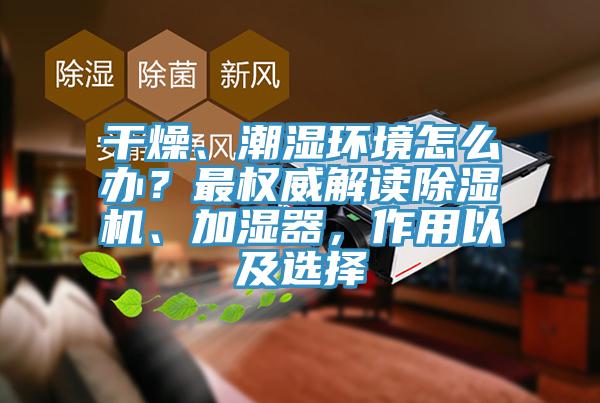 干燥、潮濕環(huán)境怎么辦？最權(quán)威解讀除濕機、加濕器，作用以及選擇