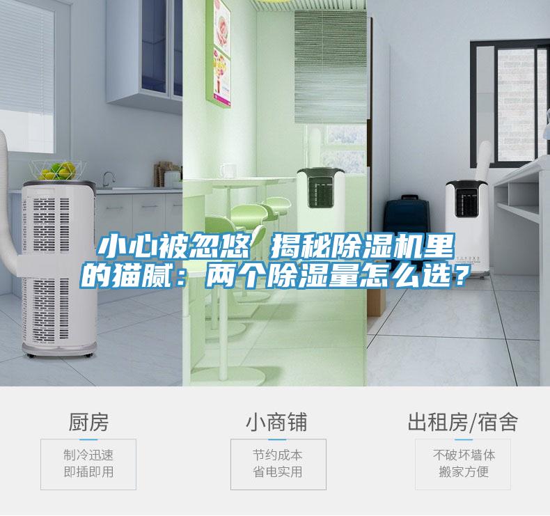 小心被忽悠 揭秘除濕機(jī)里的貓膩：兩個除濕量怎么選？