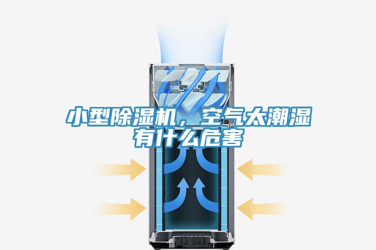 小型除濕機(jī)，空氣太潮濕有什么危害