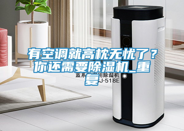 有空調(diào)就高枕無憂了？你還需要除濕機(jī)_重復(fù)
