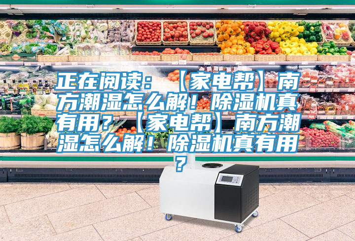 正在閱讀：【家電幫】南方潮濕怎么解！除濕機真有用？【家電幫】南方潮濕怎么解！除濕機真有用？