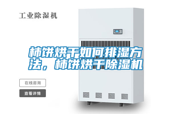 柿餅烘干如何排濕方法，柿餅烘干除濕機