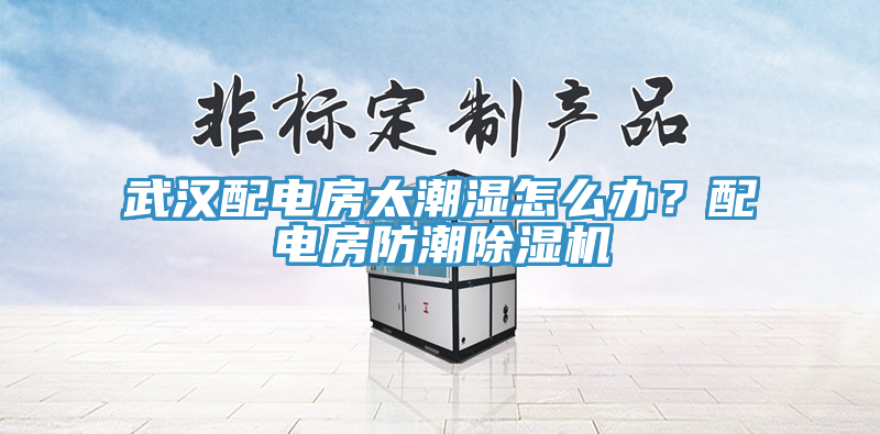 武漢配電房太潮濕怎么辦？配電房防潮除濕機(jī)