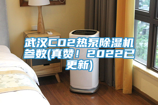 武漢CO2熱泵除濕機參數(shù)(真贊！2022已更新)