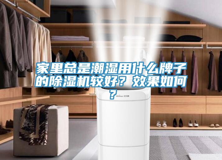 家里總是潮濕用什么牌子的除濕機較好？效果如何？