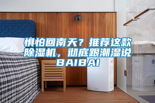 懼怕回南天？推薦這款除濕機，徹底跟潮濕說BAIBAI
