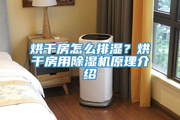 烘干房怎么排濕？烘干房用除濕機原理介紹