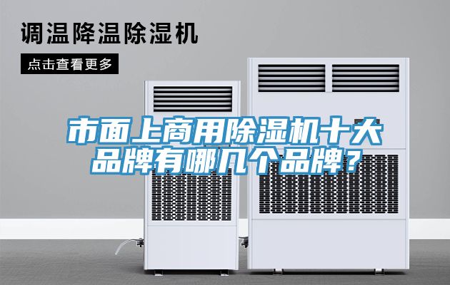 市面上商用除濕機(jī)十大品牌有哪幾個(gè)品牌？