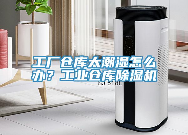 工廠倉(cāng)庫(kù)太潮濕怎么辦？工業(yè)倉(cāng)庫(kù)除濕機(jī)