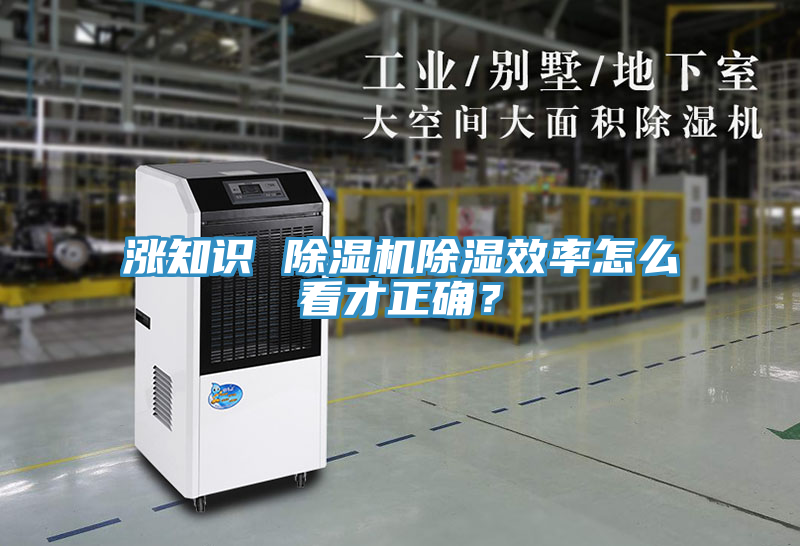 漲知識 除濕機除濕效率怎么看才正確？