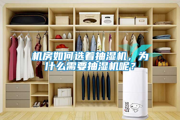 機(jī)房如何選著抽濕機(jī)，為什么需要抽濕機(jī)呢？