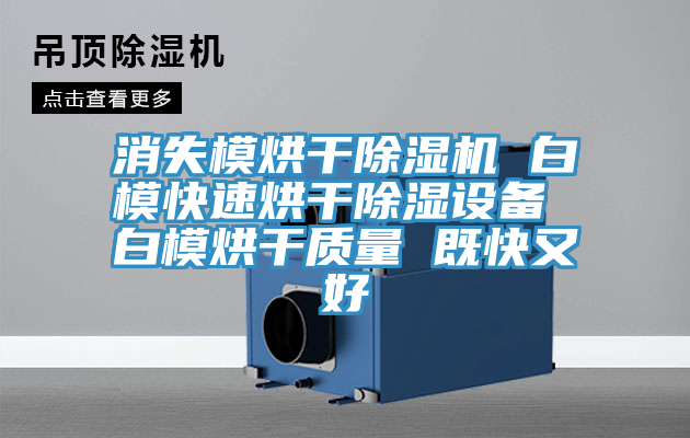 消失模烘干除濕機 白模快速烘干除濕設備 白模烘干質(zhì)量 既快又好