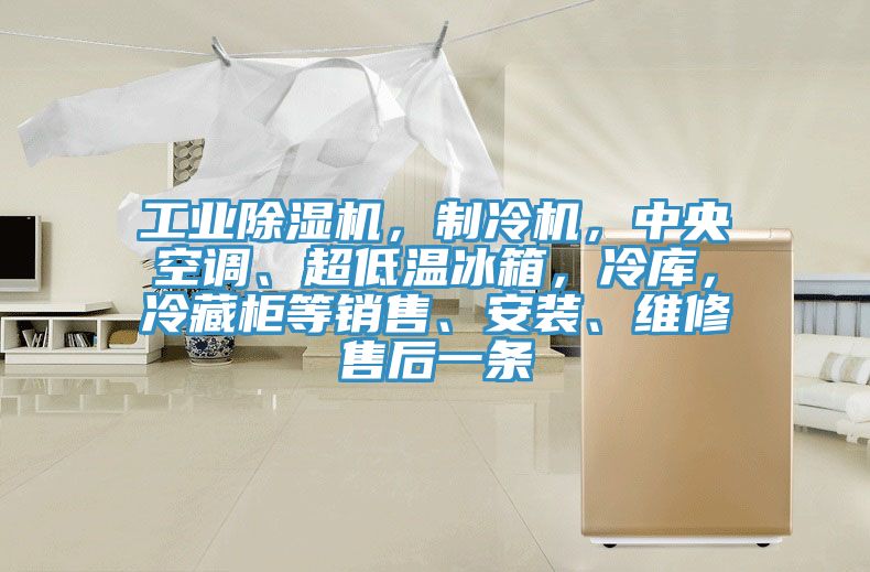 工業(yè)除濕機，制冷機，中央空調(diào)、超低溫冰箱，冷庫，冷藏柜等銷售、安裝、維修售后一條