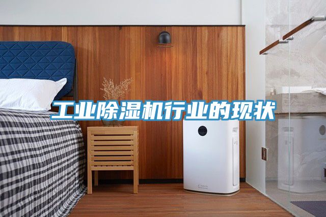 工業(yè)除濕機行業(yè)的現(xiàn)狀
