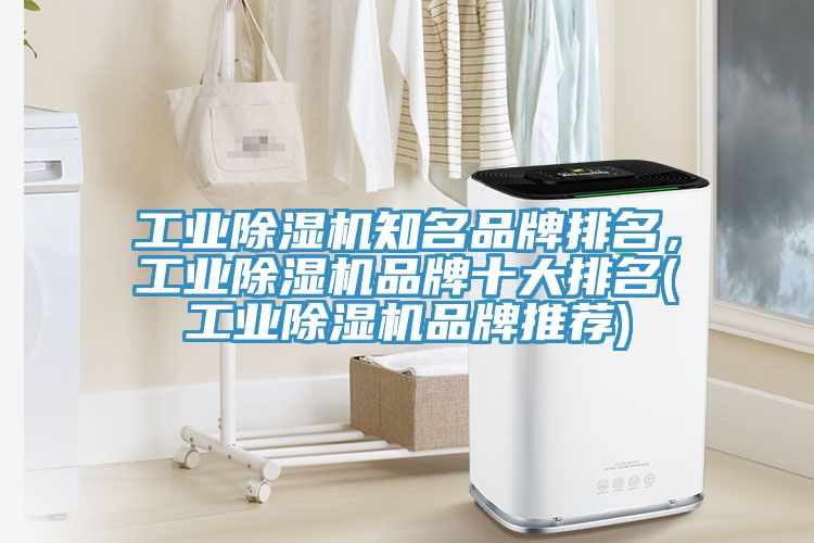 工業(yè)除濕機知名品牌排名，工業(yè)除濕機品牌十大排名(工業(yè)除濕機品牌推薦)
