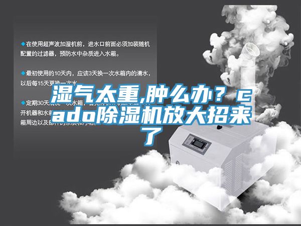 濕氣太重,腫么辦？cado除濕機放大招來了