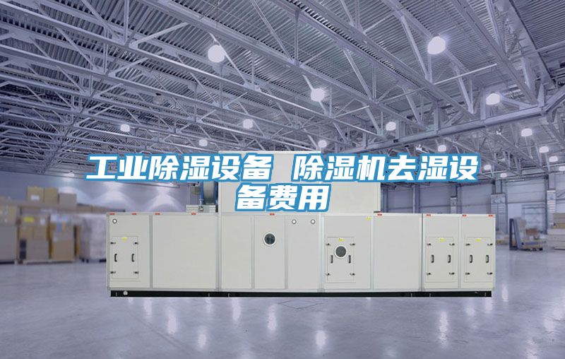 工業(yè)除濕設(shè)備 除濕機(jī)去濕設(shè)備費用