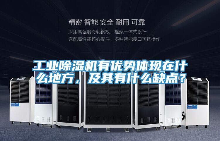 工業(yè)除濕機(jī)有優(yōu)勢(shì)體現(xiàn)在什么地方，及其有什么缺點(diǎn)？