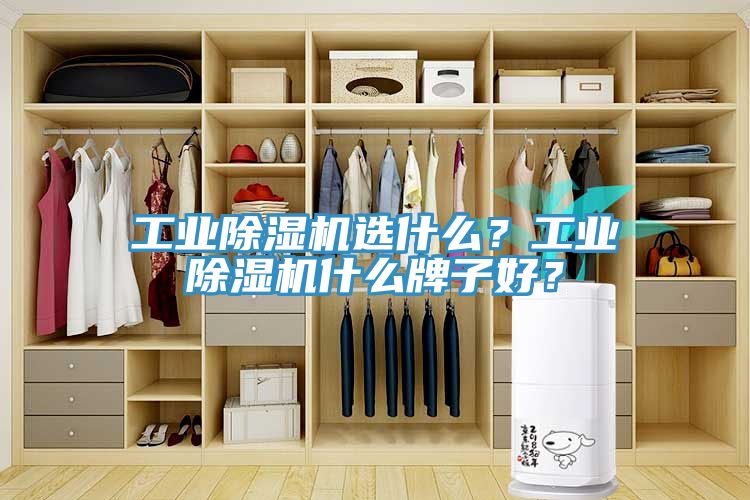 工業(yè)除濕機(jī)選什么？工業(yè)除濕機(jī)什么牌子好？