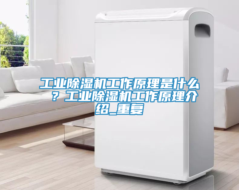 工業(yè)除濕機(jī)工作原理是什么 ？工業(yè)除濕機(jī)工作原理介紹_重復(fù)