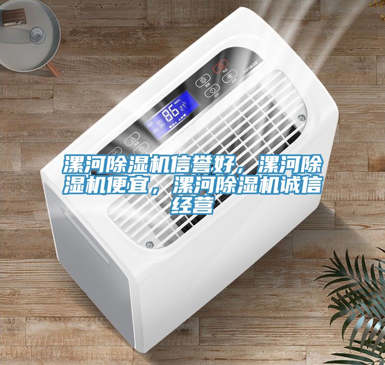 漯河除濕機信譽好，漯河除濕機便宜，漯河除濕機誠信經(jīng)營